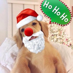 Meet your Posher, Pradthana